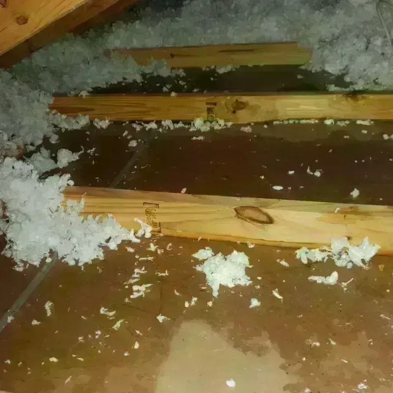 Attic Water Damage in Topaz Ranch Estates, NV